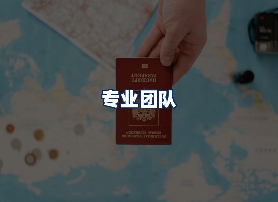 专业团队