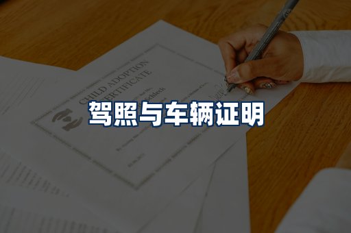 车辆证明展示